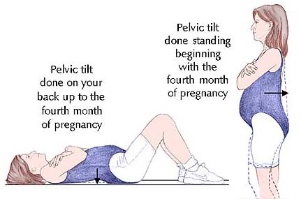 Begin Doing Pelvic Floor Exercises Healthy And Happy Pregnancy